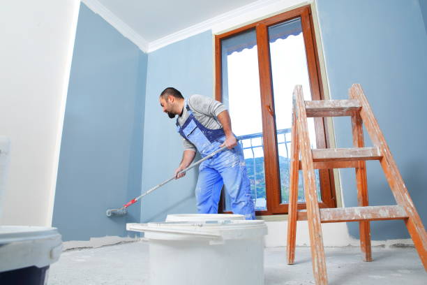 Best Mold Odor Removal Services  in Crandon, WI