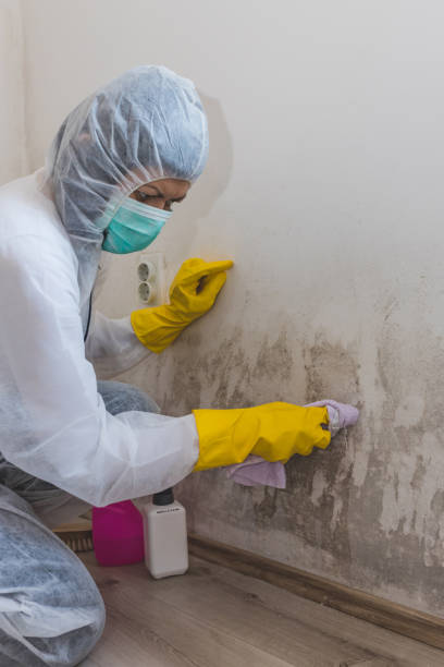 Best Airborne Mold Testing  in Crandon, WI