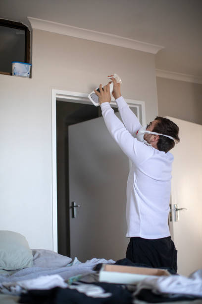 Best Commercial Mold Inspection  in Crandon, WI