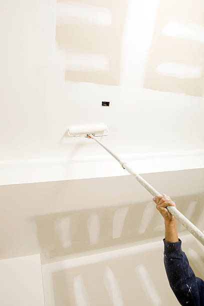 Best Basement Mold Removal  in Crandon, WI